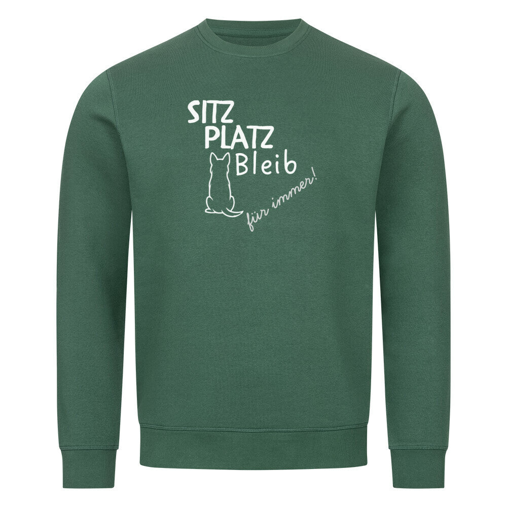 Image for color: varsity green