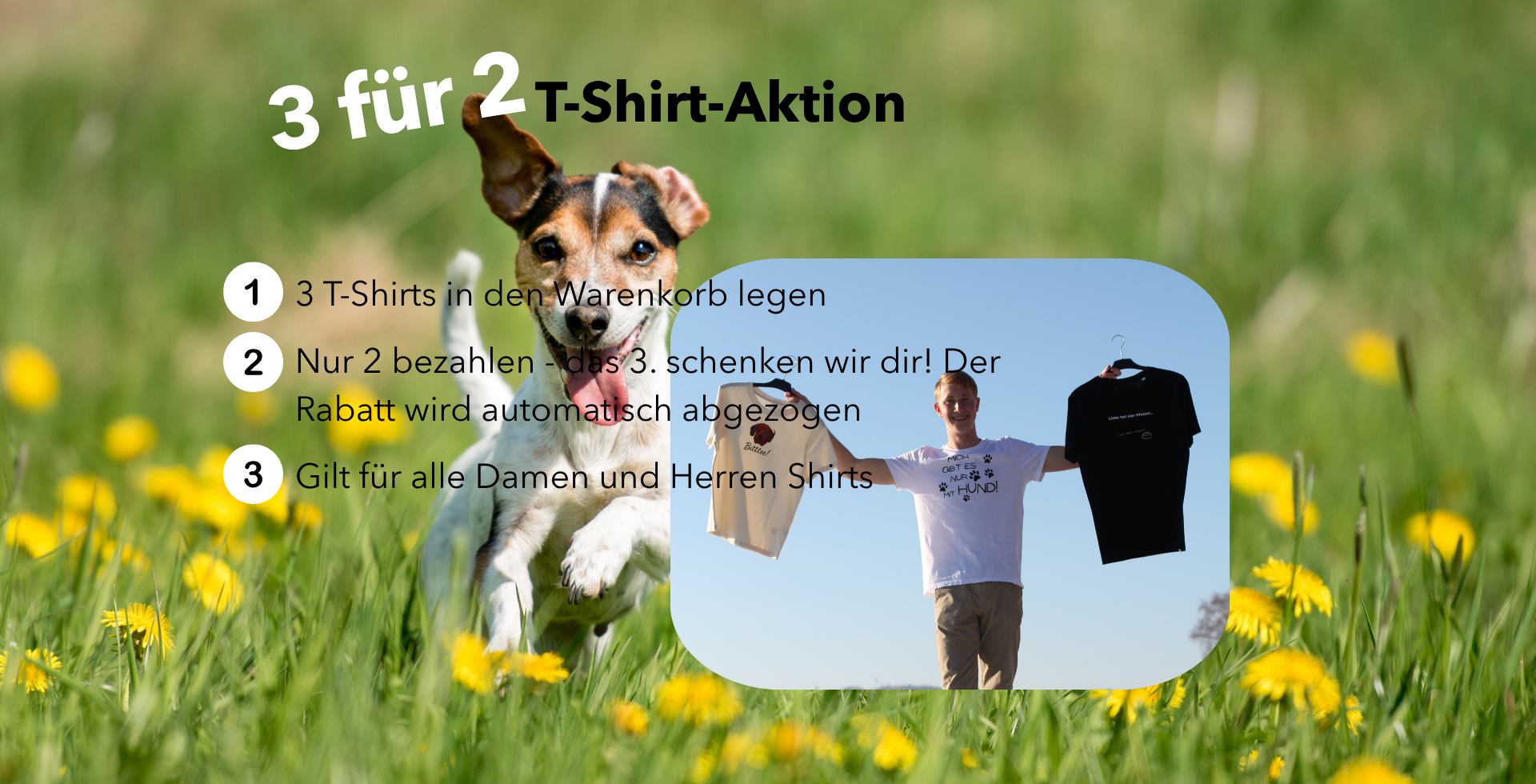 3 für 2 T-Shirt-Aktions Banner mit Jack Russel Terrier auf einer Frühlingswiese und Mensch der Shirts von spryng hochhält.