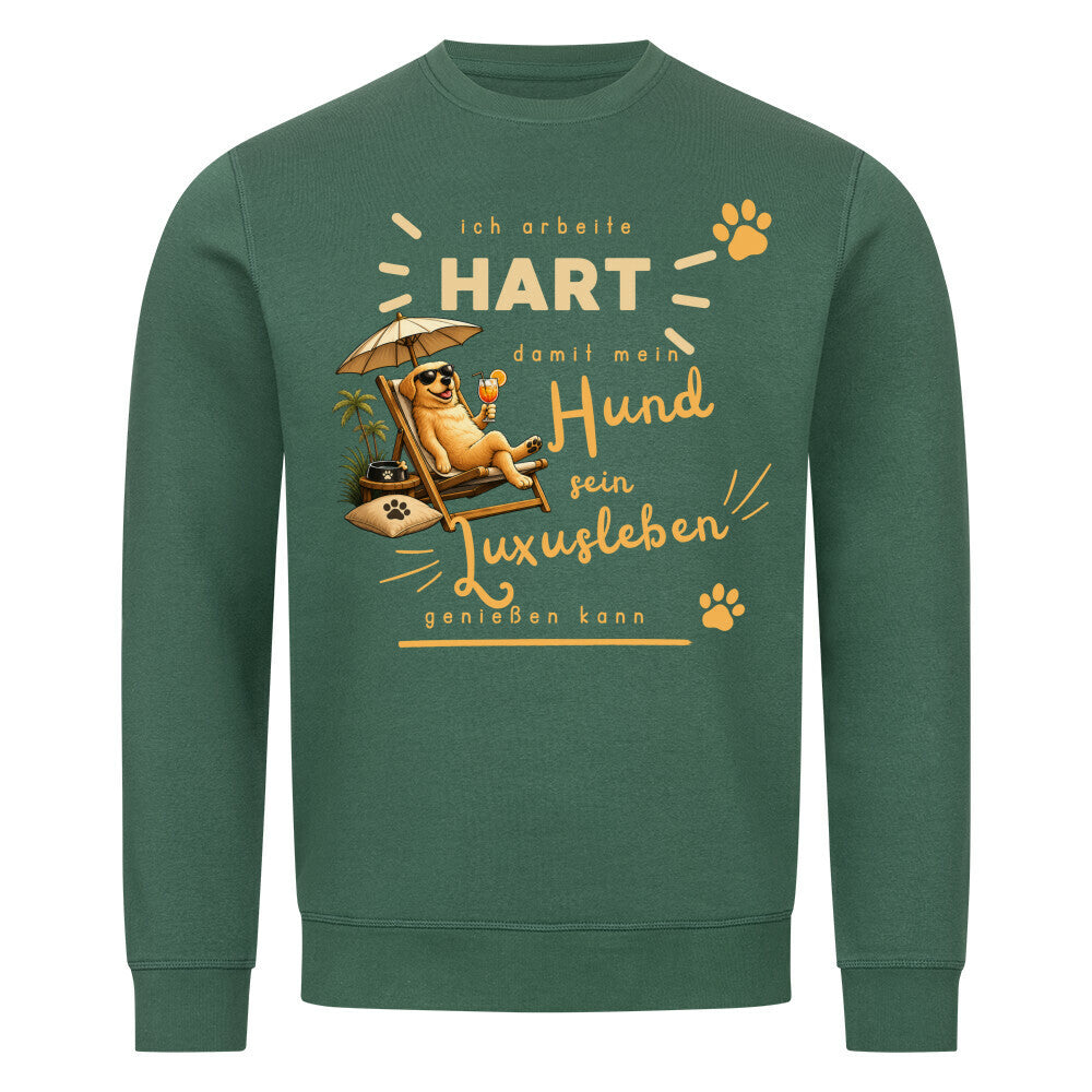Image for color: varsity green